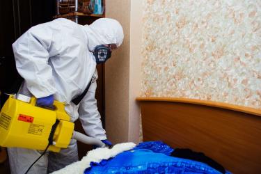 Обработка от клопов