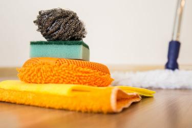 Что делать после обработки квартиры от клопов