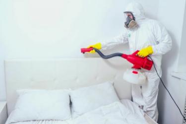 Экологически чистая дезинфекция: миф или реальность?