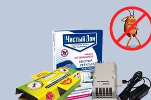 Ловушки от тараканов: полный гид от дезинфектора