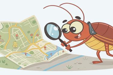 Откуда тараканы в квартире: карта путей проникновения