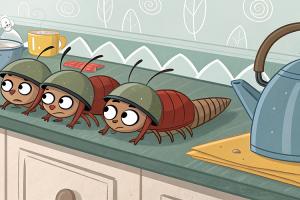 Причины появления тараканов в квартире